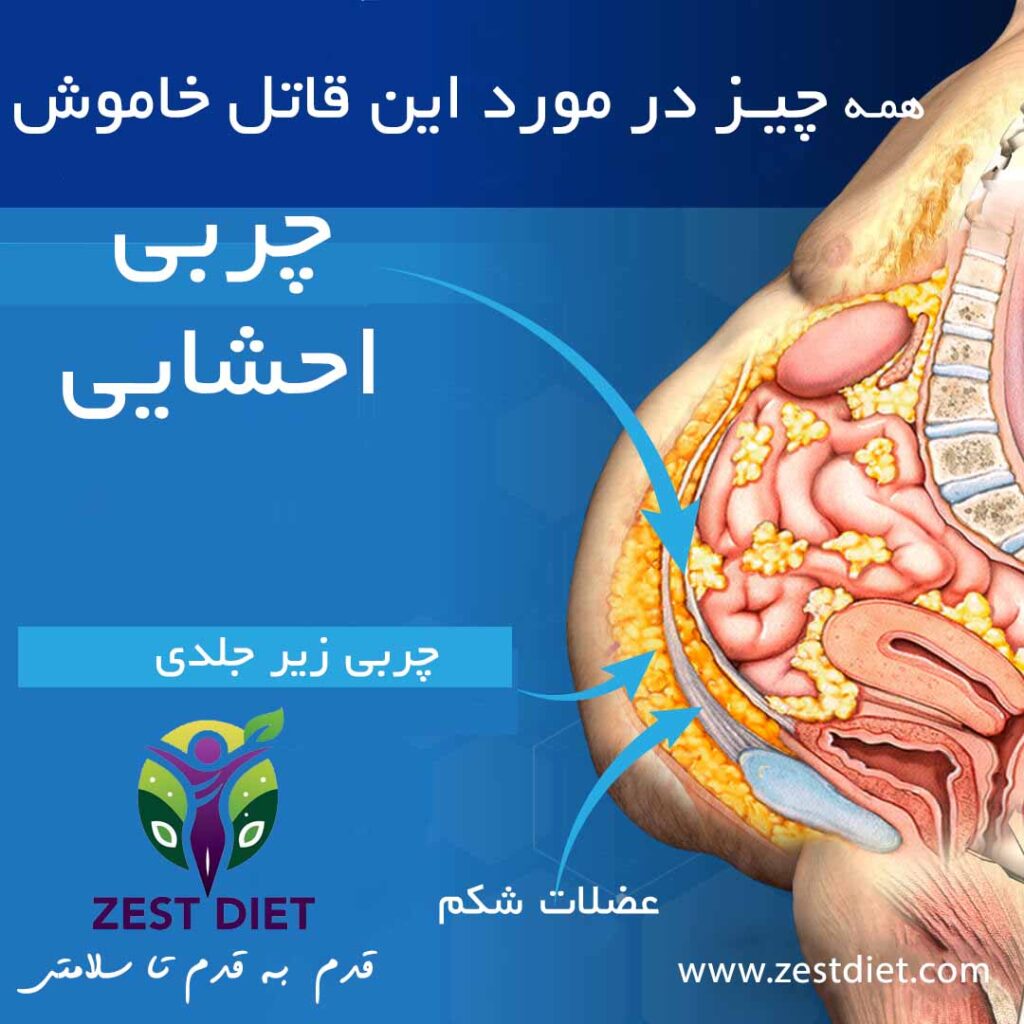 چربی احشایی